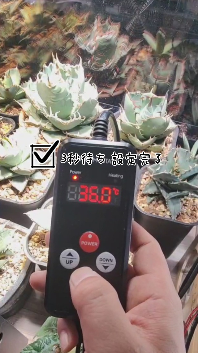 Amazon.co.jp: Niwuno 植物ヒーターマット サーモスタット ヒート